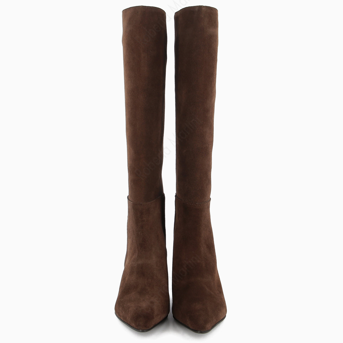 Bota Jany