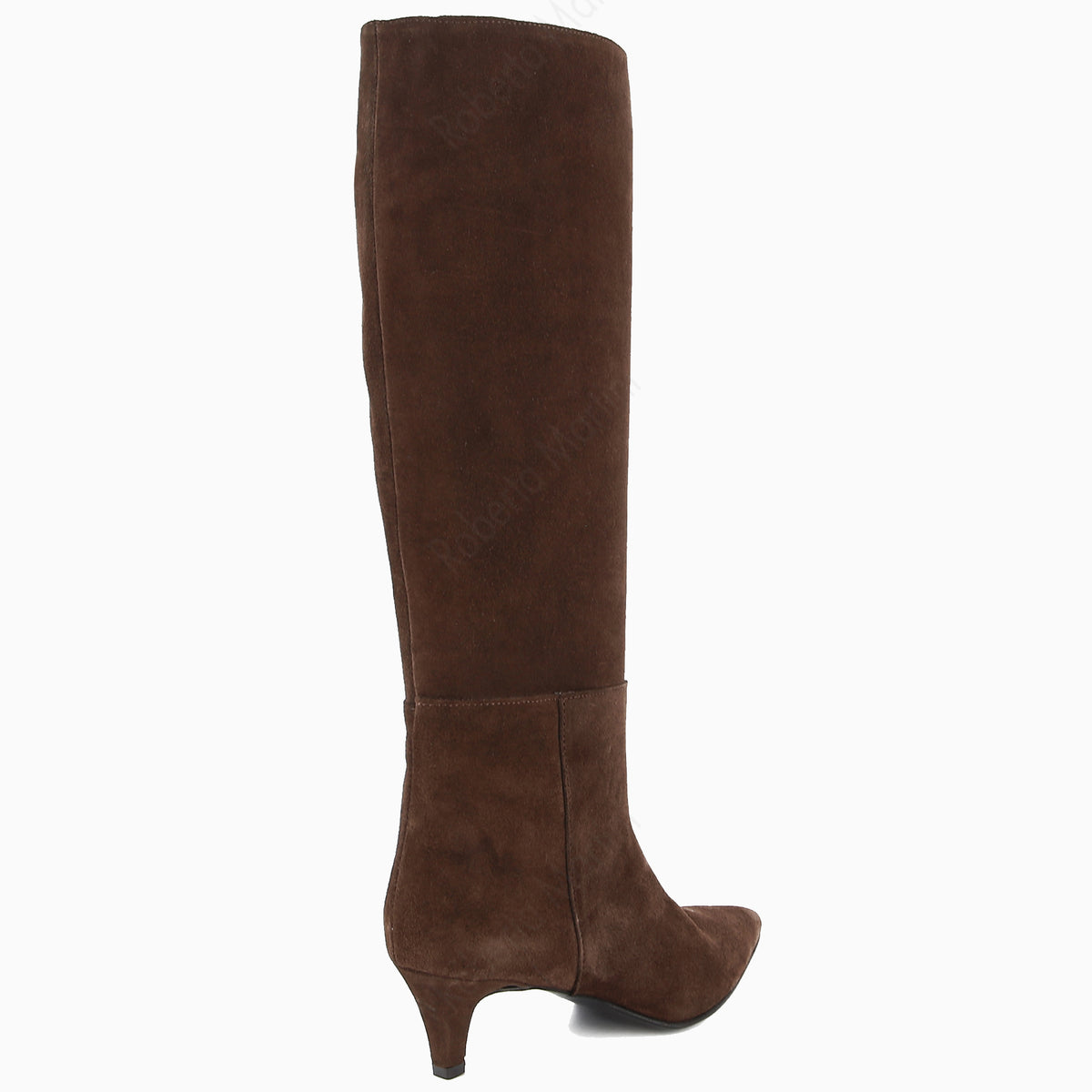 Bota Jany