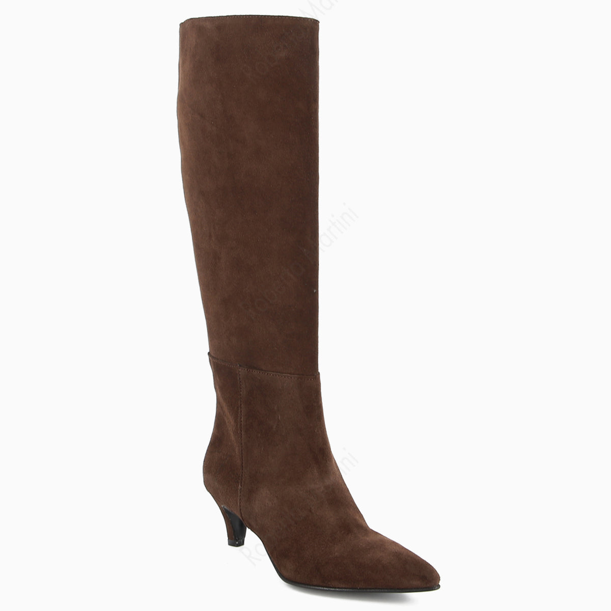 Bota Jany